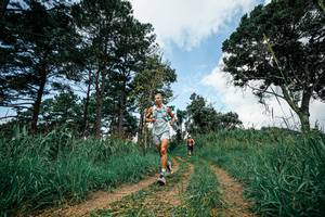 BIB: 
                            <button type="button" onclick="openModal(26040984)" class="btn btn-primary btn-sm float-right btn-popup" data-toggle="modal" data-target=".modal-high-quality">
                        <i class="fas fa-shopping-cart"></i> Add to Cart
                    </button>
                                            <button type="button" onclick="isThisMe(26040984, true)" class="btn btn-success btn-sm float-right btn-popup btn-isme hidden" data-toggle="tooltip" data-placement="bottom" title="นี่คือรูปของคุณใช่ไหม คลิกที่นี่เพื่อเอาเข้าอัลบั้ม">
                        <i class="fas fa-plus"></i> Add to album
                    </button>
                    <button type="button" onclick="isThisMe(26040984, false)" class="btn btn-warning btn-sm float-right btn-popup btn-isnotme hidden">
                        <i class="fas fa-ban"></i> Remove from album
                    </button>